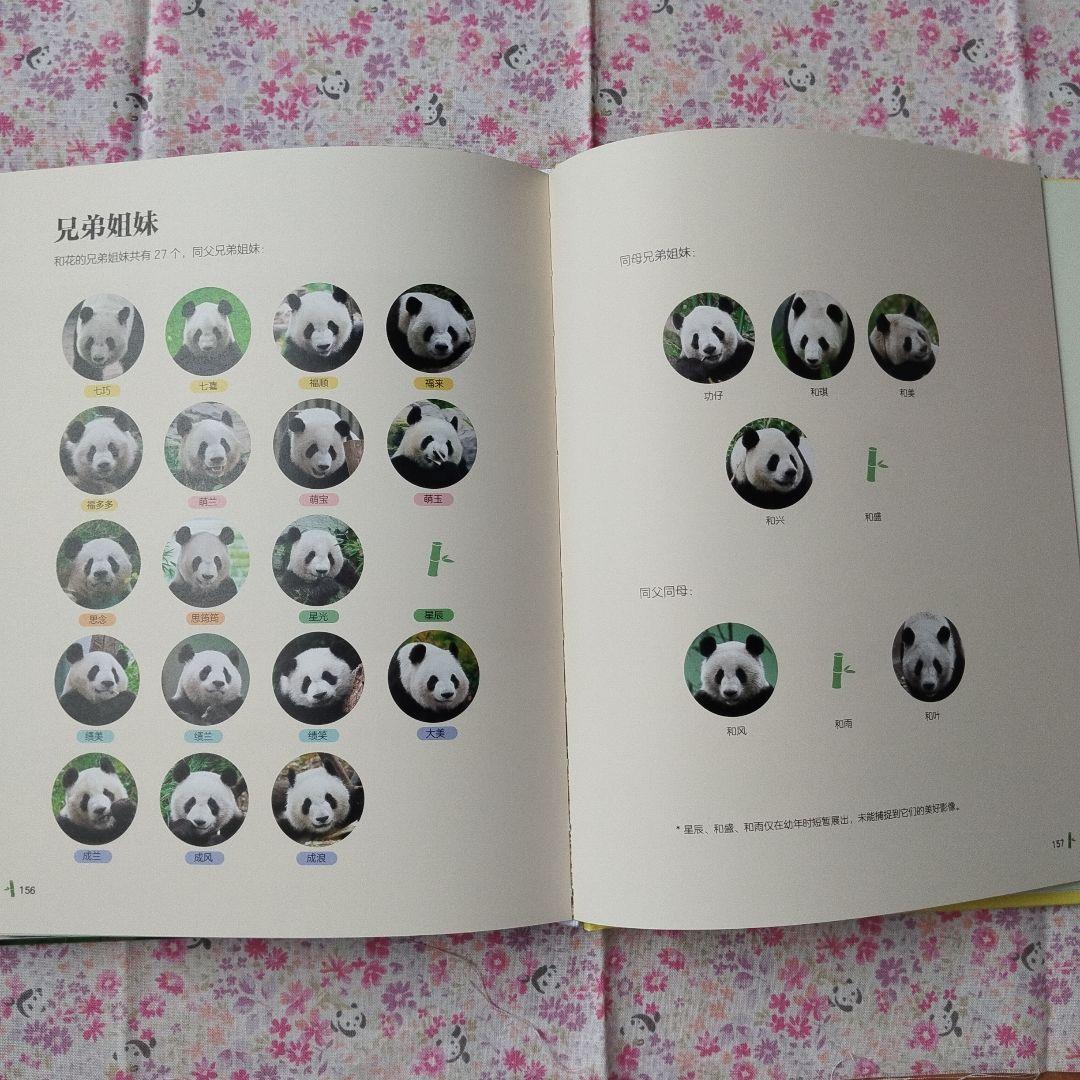 【レア品！新品•未使用品】和花ちゃん生誕5周年記念写真集「花花世界」
