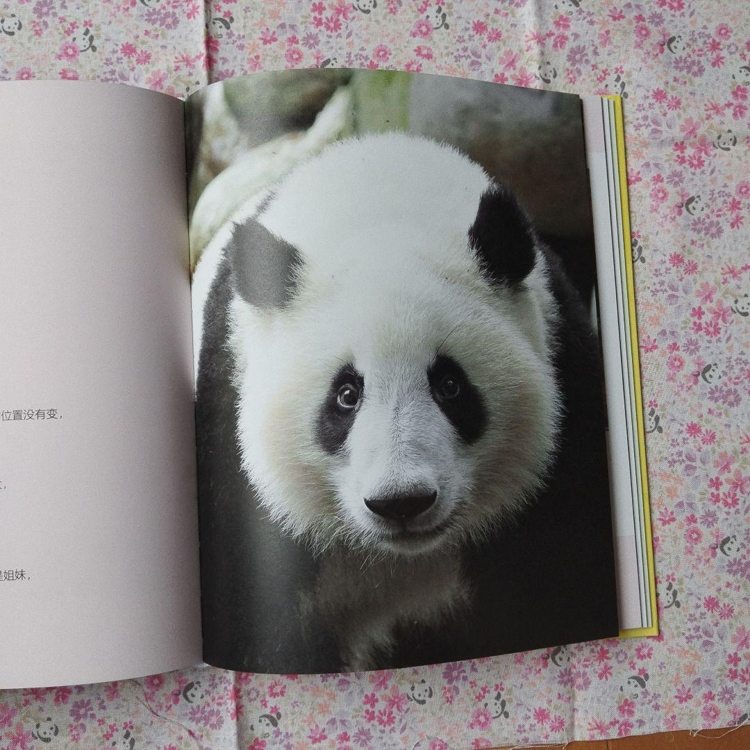 【レア品！新品•未使用品】和花ちゃん生誕5周年記念写真集「花花世界」