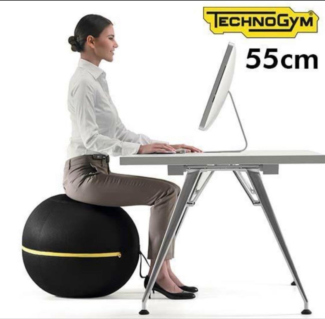 TECHNOGYM バランスボール 55cm