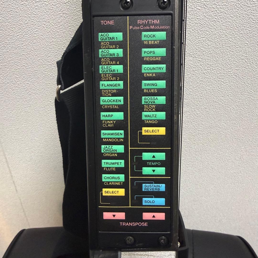 CASIO DG-20 デジタルギター　エレキギター　カシオ