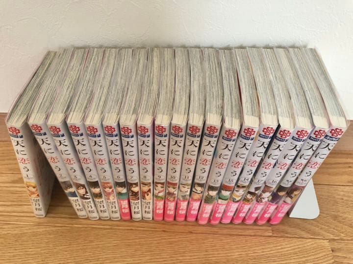 天に恋う 1〜17巻　外伝、藍、紅2冊