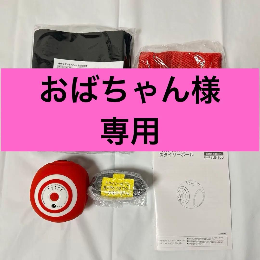 【美品】ルネサンススポーツクラブがつくったスタイリーボール エクササイズ レッド