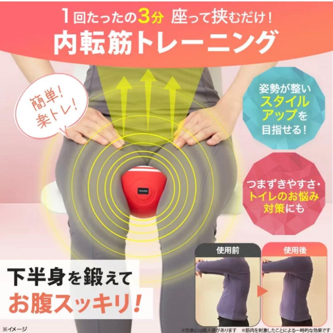 【美品】ルネサンススポーツクラブがつくったスタイリーボール エクササイズ レッド