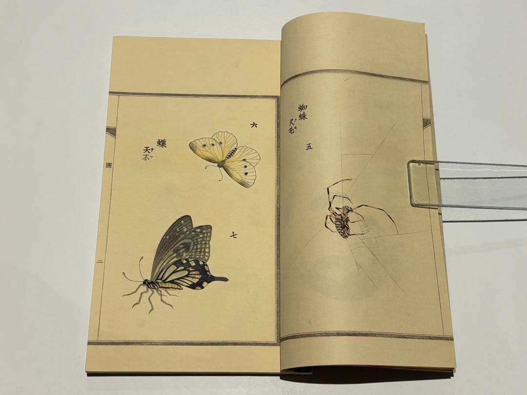 「百虫詩画 名蠕蠕集」山本復一著 山田茂助刊 明治39年刊 揃2冊|和本