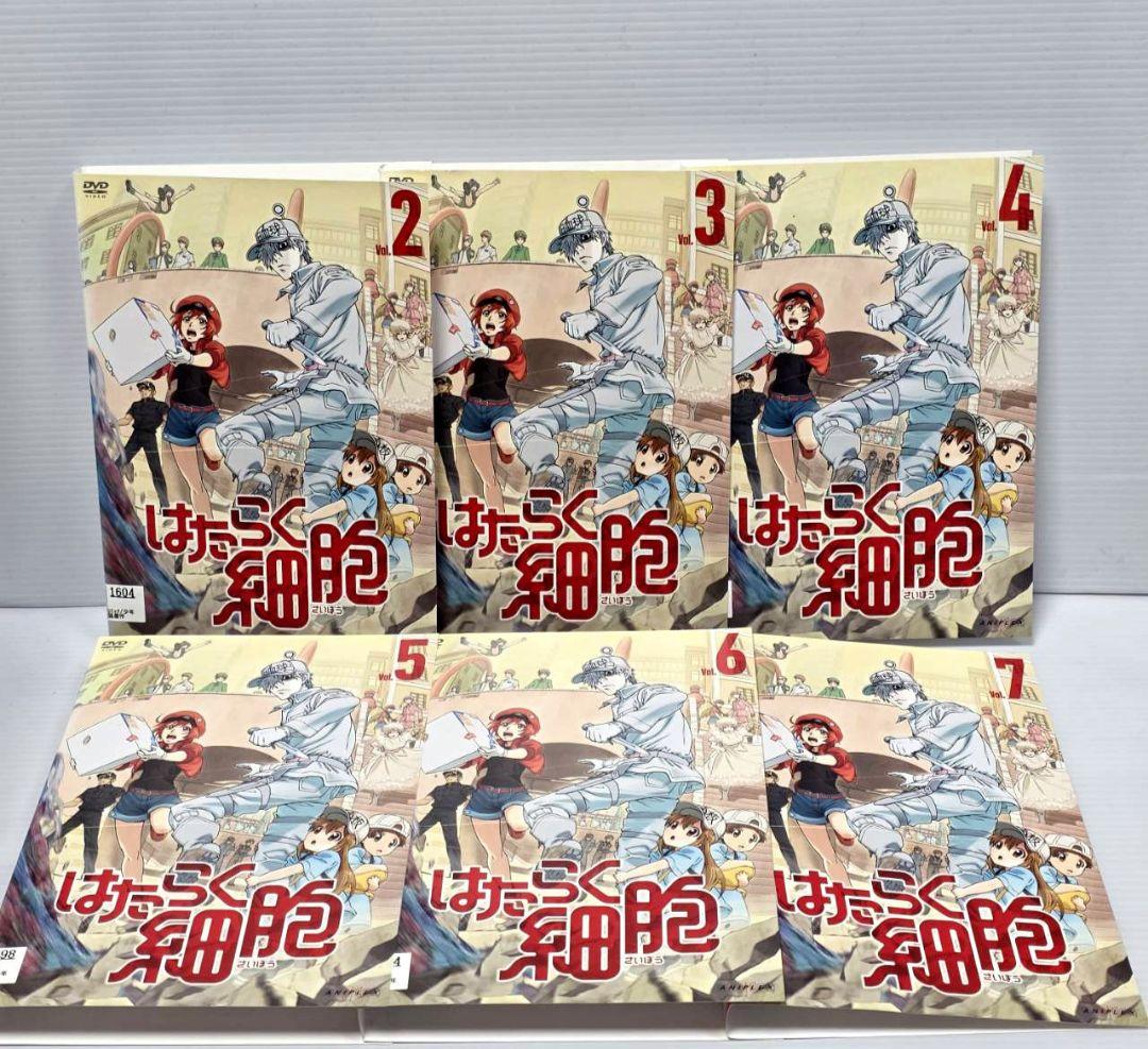 【新品ケース収納】はたらく細胞　DVD全巻セット　全8巻 全7巻+特別編