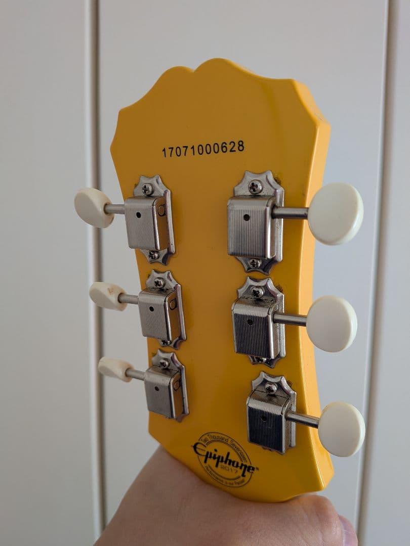 Epiphone Melody Maker SL / カスタム