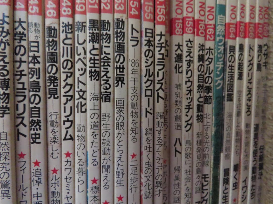 アニマANIMA野性からの声50号から169号までの77冊平凡社伝説の自然情報誌