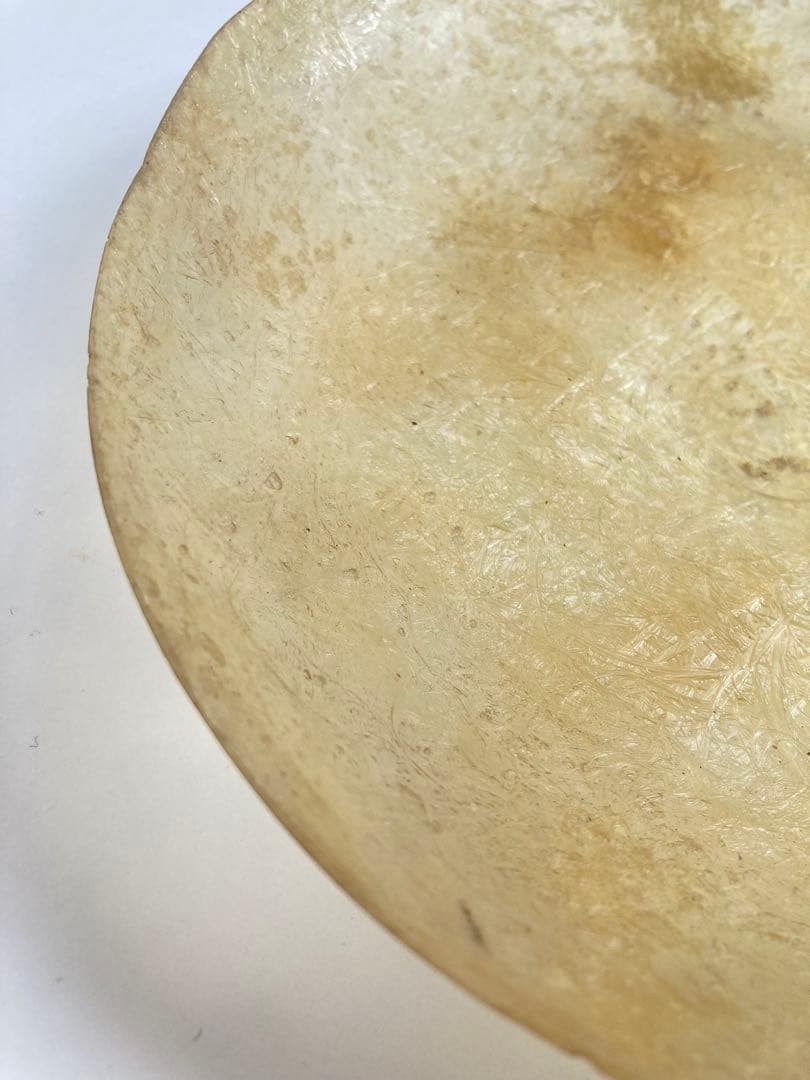 希少　FRP樹脂　中皿