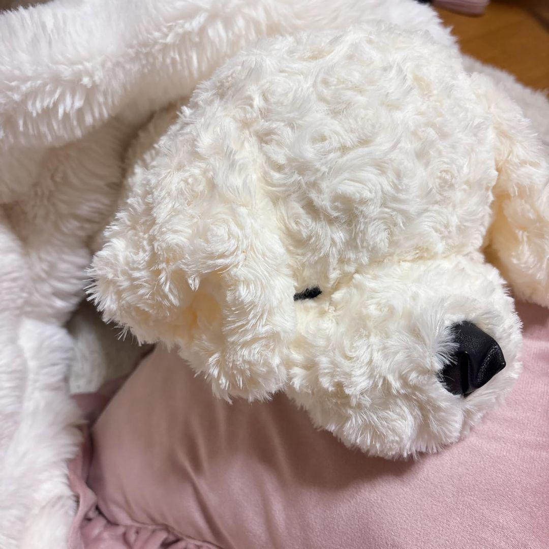犬型ぬいぐるみ 60cm ホワイト