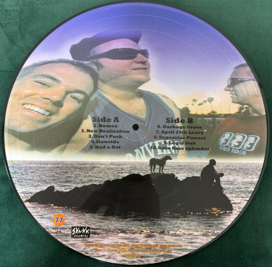 SUBLIME レコード　limited picture disc