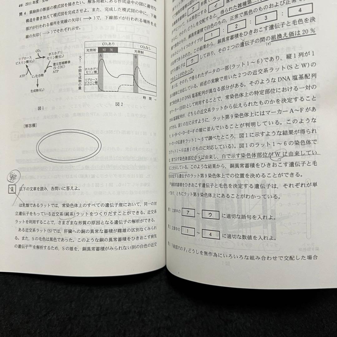 赤本　新潟大学　理系　医学部　2008年～2019年 12年分