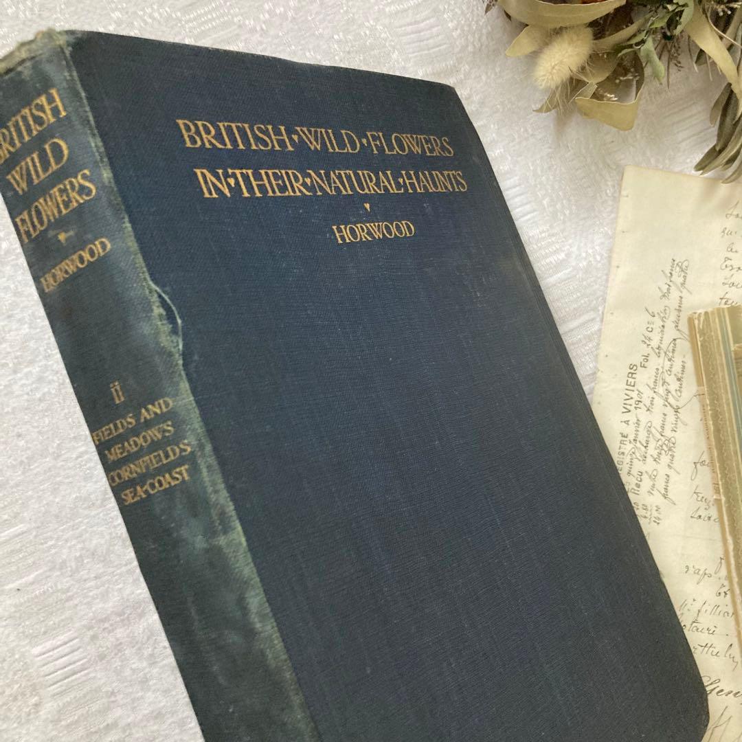 L735 1919年発行　大変希少なイギリスのアンティーク植物図鑑