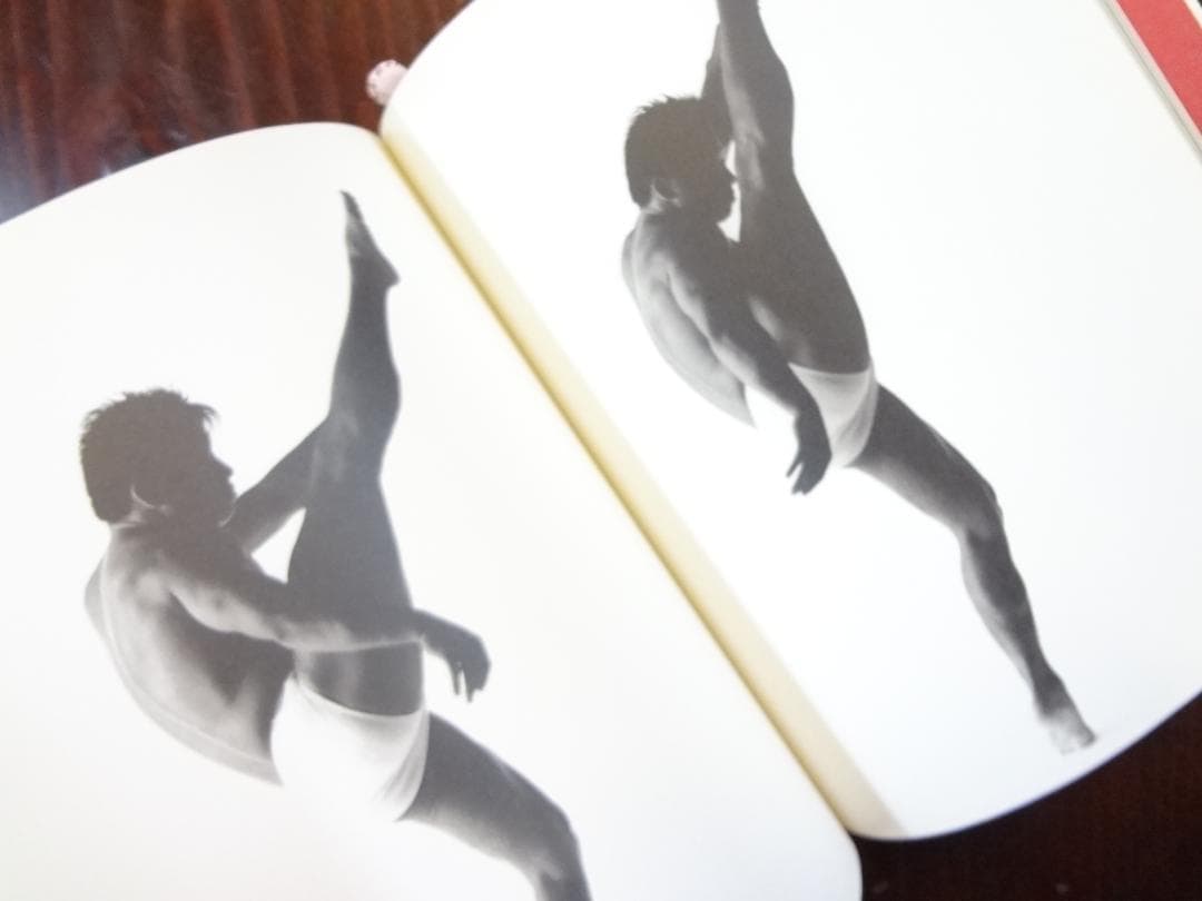 直筆サイン有●PANCRASE オフィシャル写真集 「シード SEED」