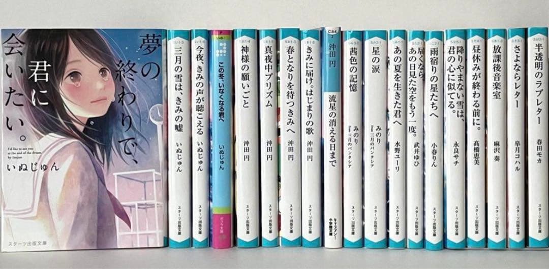 恋愛小説 青春小説 19冊 まとめ売り スターツ出版文庫 いぬじゅん 沖田円