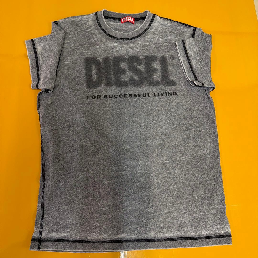 DIESEL T-DIEGOR-1 グレー Tシャツ XL