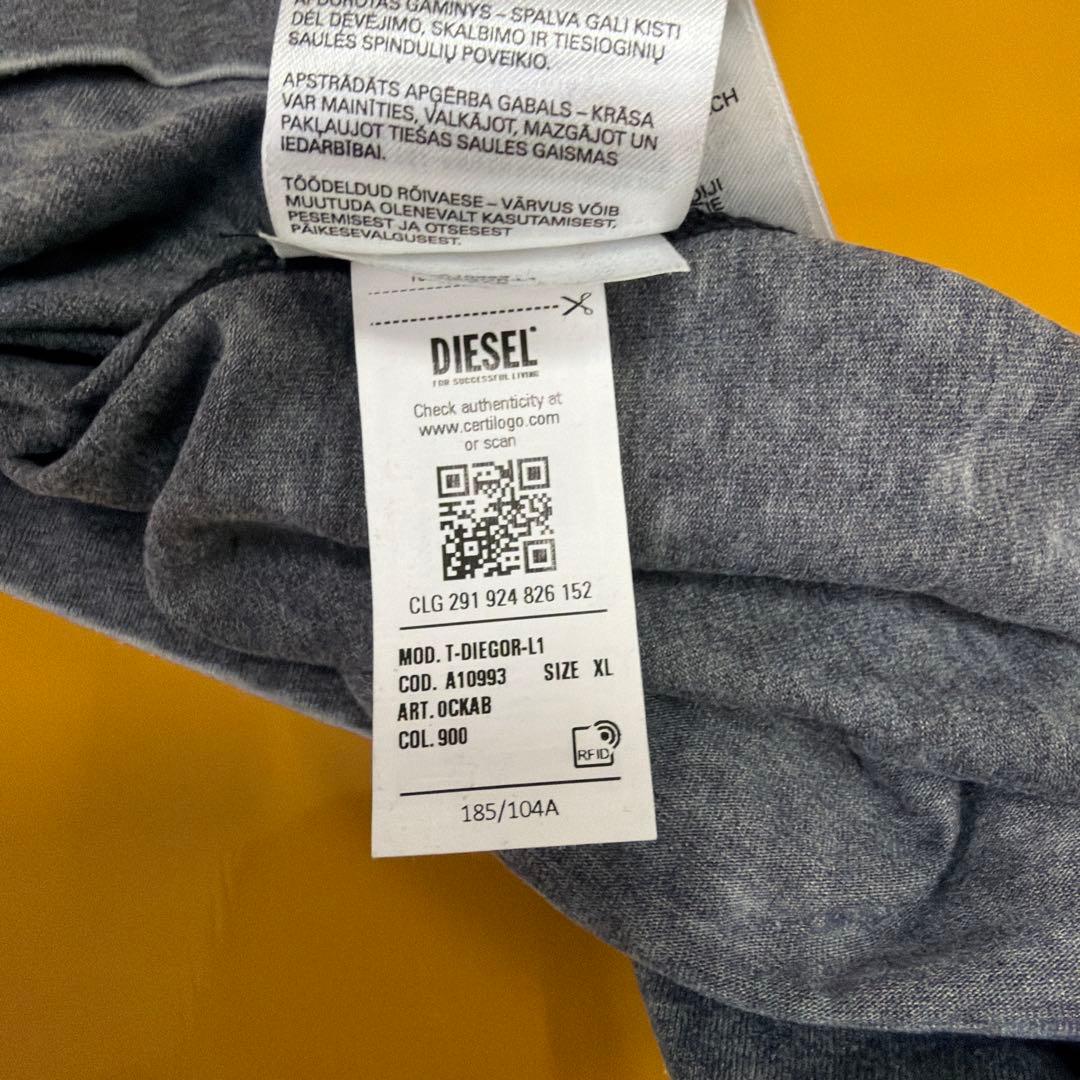 DIESEL T-DIEGOR-1 グレー Tシャツ XL