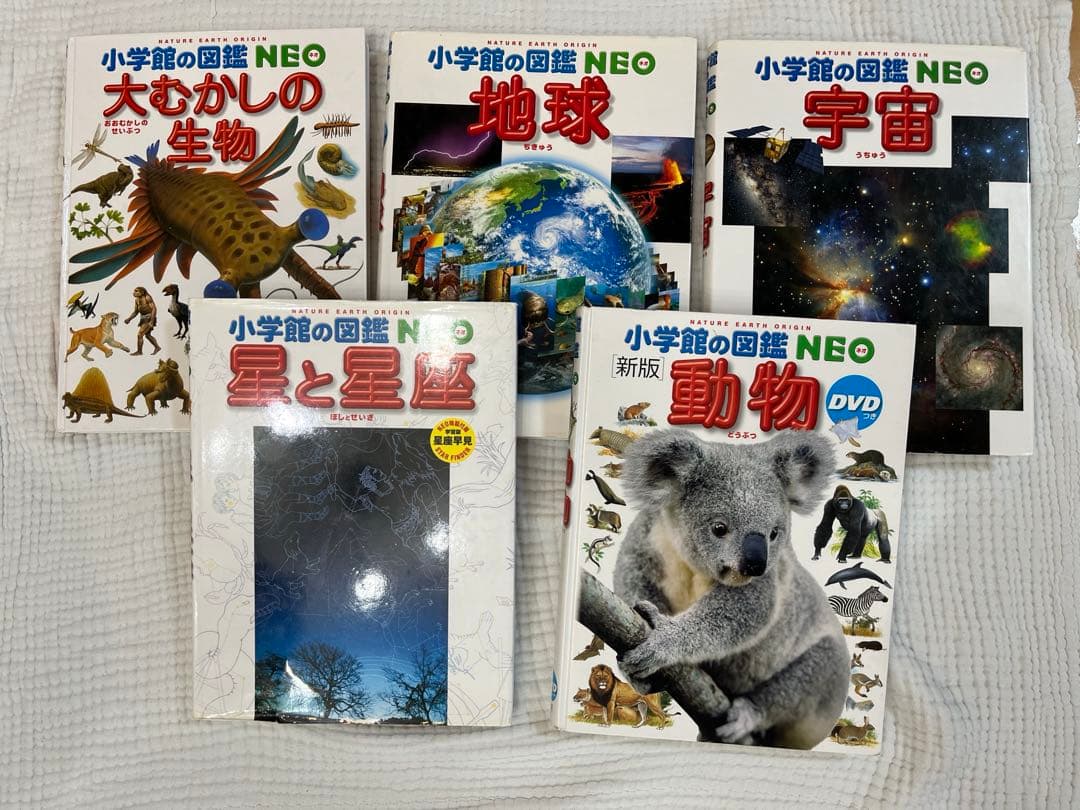 5冊セット♡美品　小学館の図鑑NEO まとめ