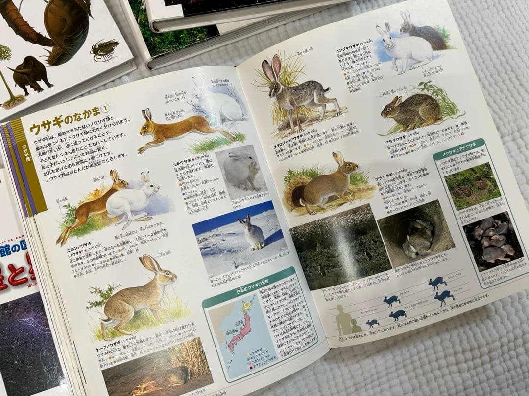 5冊セット♡美品　小学館の図鑑NEO まとめ