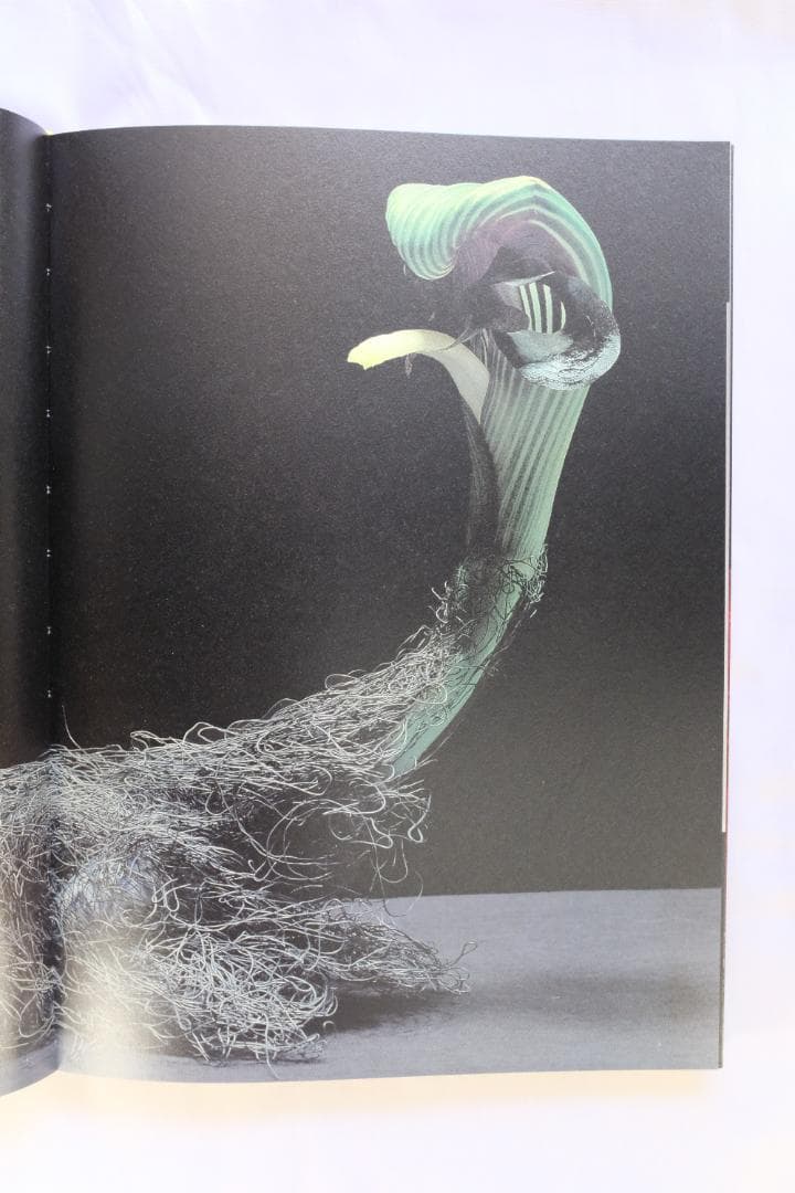 中川幸夫 (Yukio Nakagawa) 作品写真集 魔の山