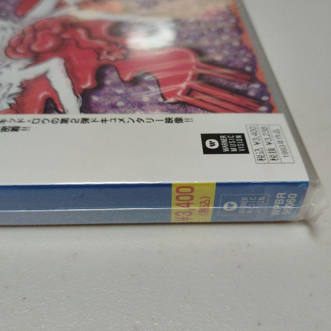 新品未開封 DVD 日本国内盤 スキッド・ロウ ロードキル
