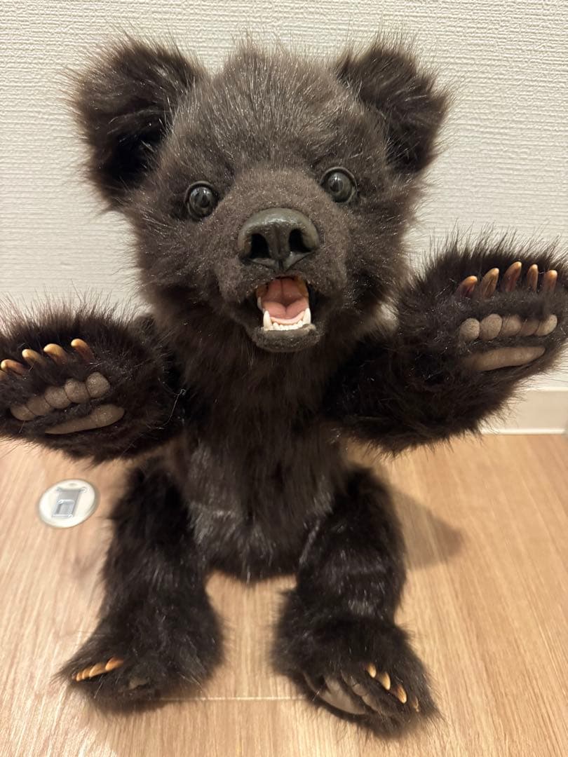 【お値下げ不可】海外作家様作　テディベア