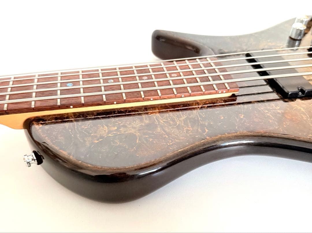 【美品】Carparelli Guitars CF-5 5弦ベース