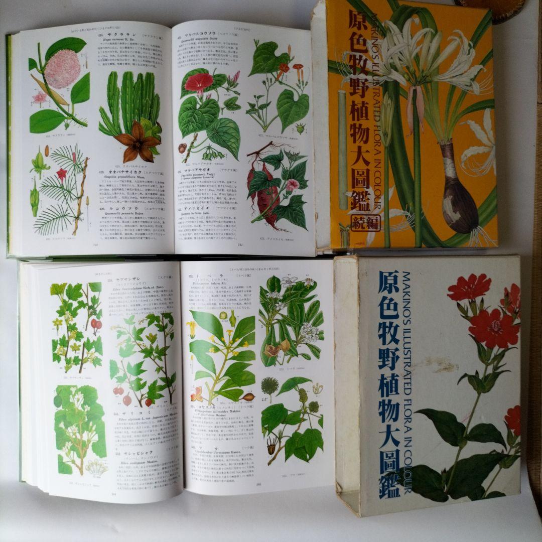 原色牧野植物大図鑑・続編