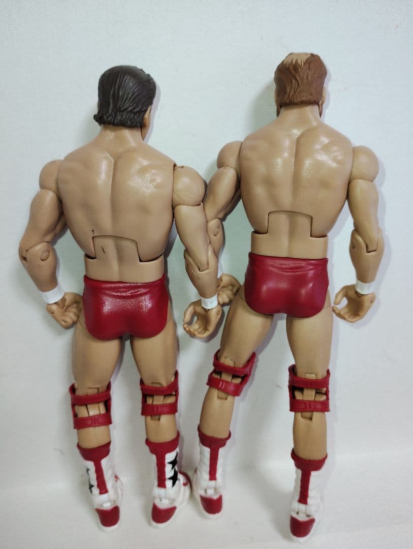 マテル社版　WWEプロレスフィギュア　アーンアンダーソン&タリープランチャード