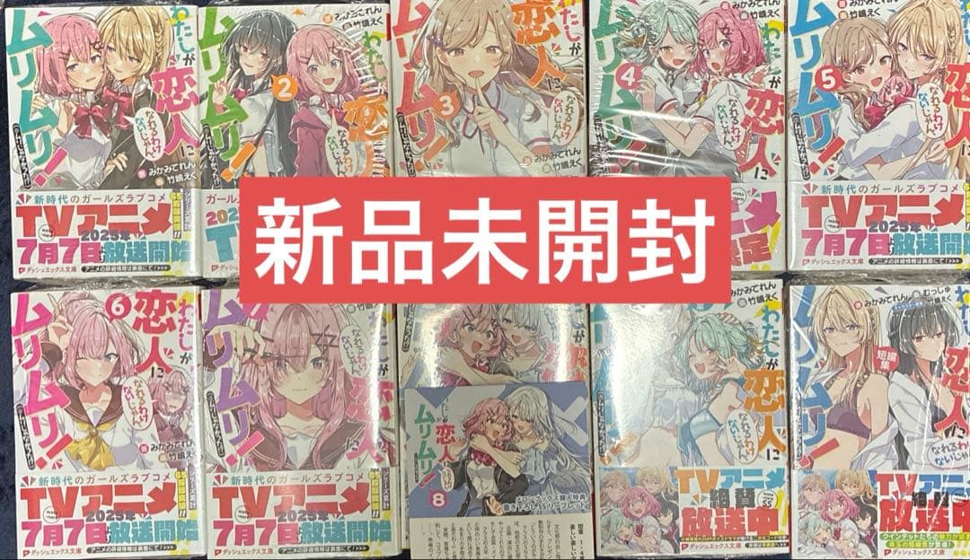 わたしが恋人になれるわけないじゃん 小説 全巻SS集、短編集含む10冊