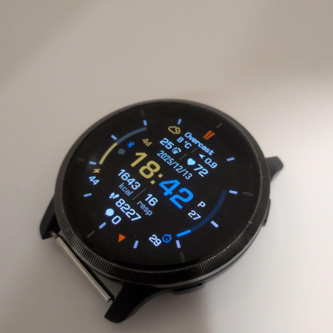 ​GARMIN VENU 2 45mm 純正新品バンド/付属品完備 Suica