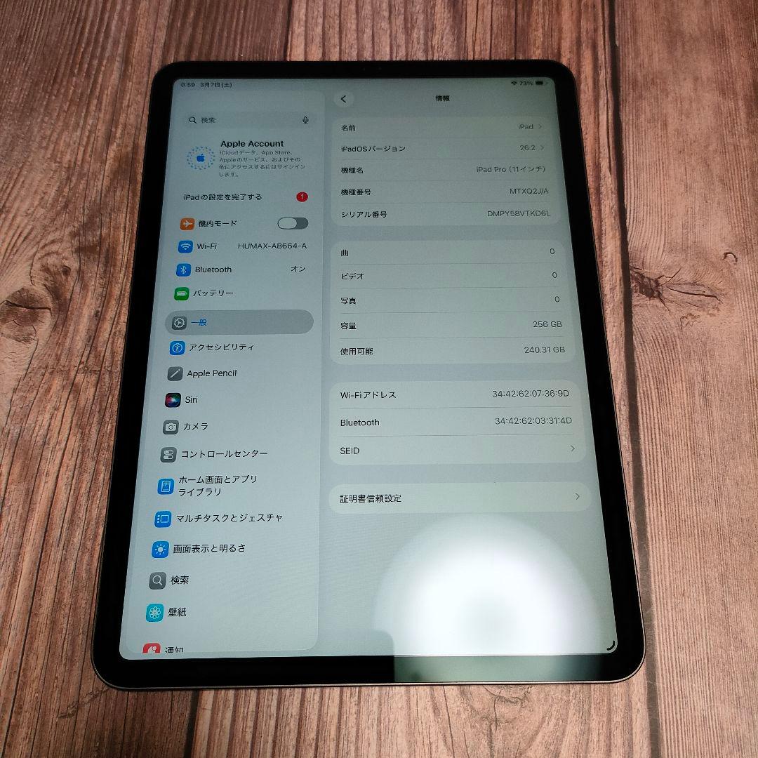 iPad Pro 11インチ 第1世代 256GB スペースグレー 超美品
