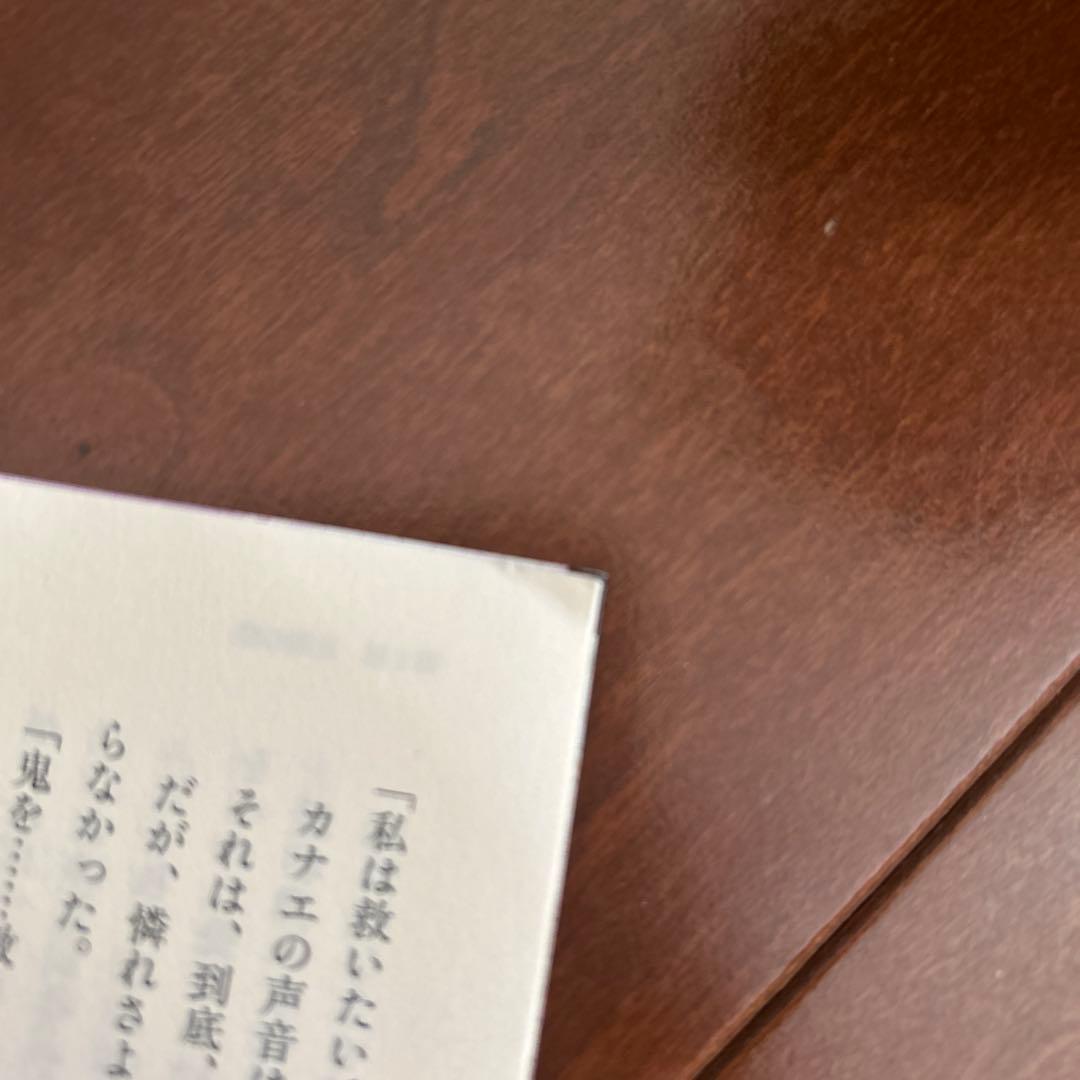 【20巻特典付き】鬼滅の刃 全巻セット+ファンブック+小説3冊