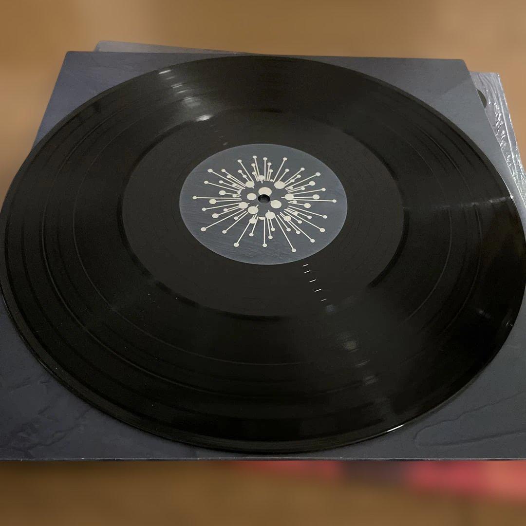 洋楽 Submotion Orchestra / Alium 2LP