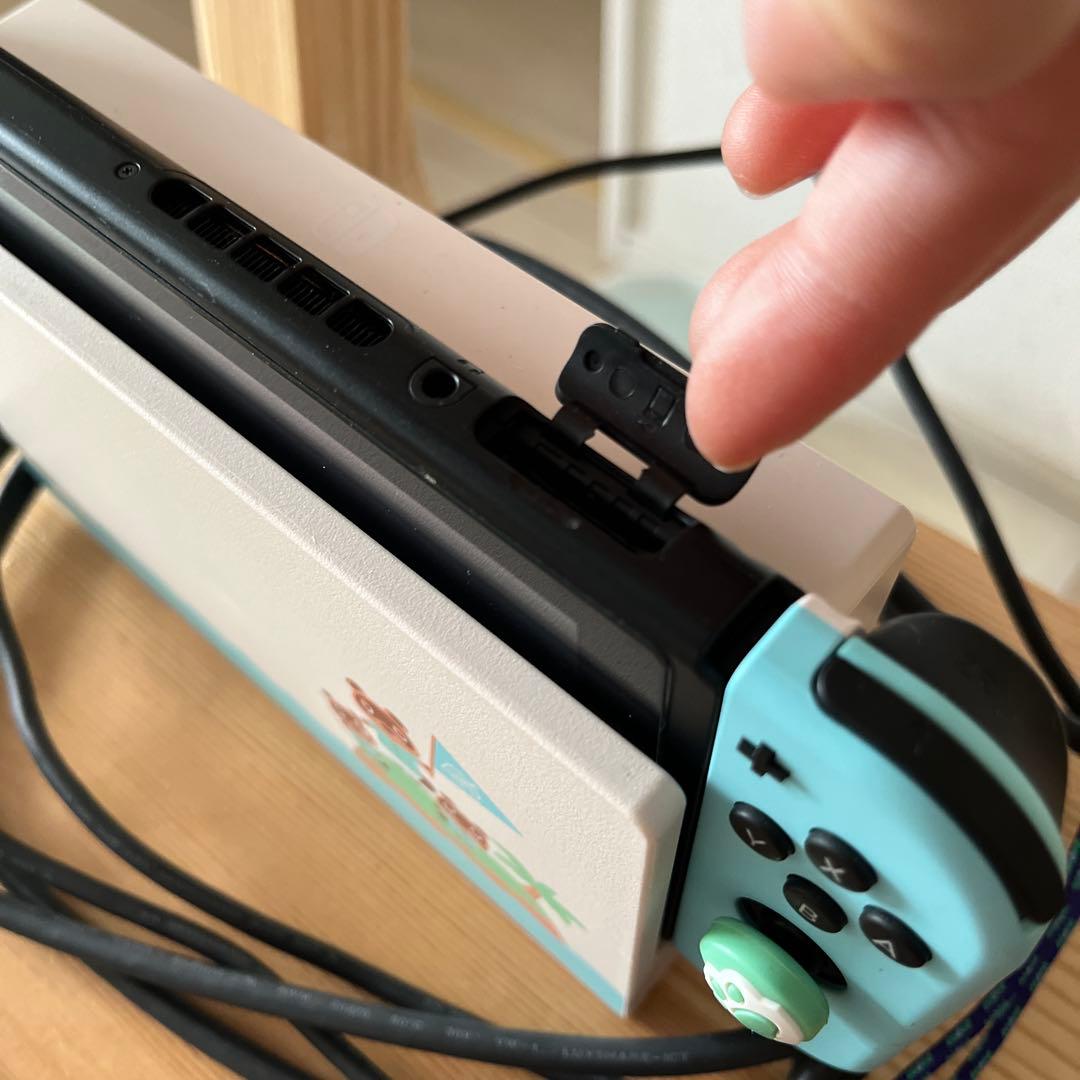 Nintendo Switch 本体 動物の森