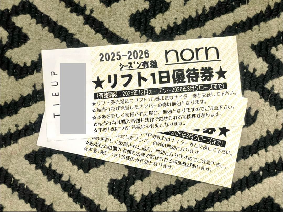 ノルンみなかみスキー場 リフト券 二枚セット