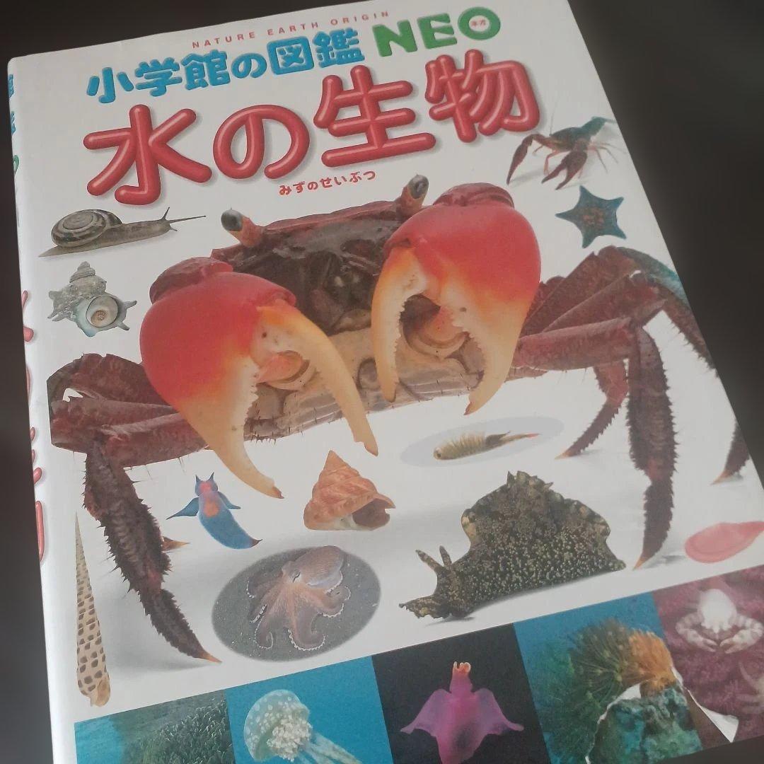くらべる図鑑セット