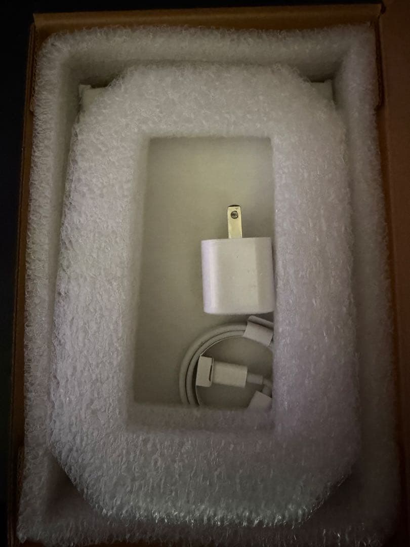 Apple iPad mini 7 128GB スターライト