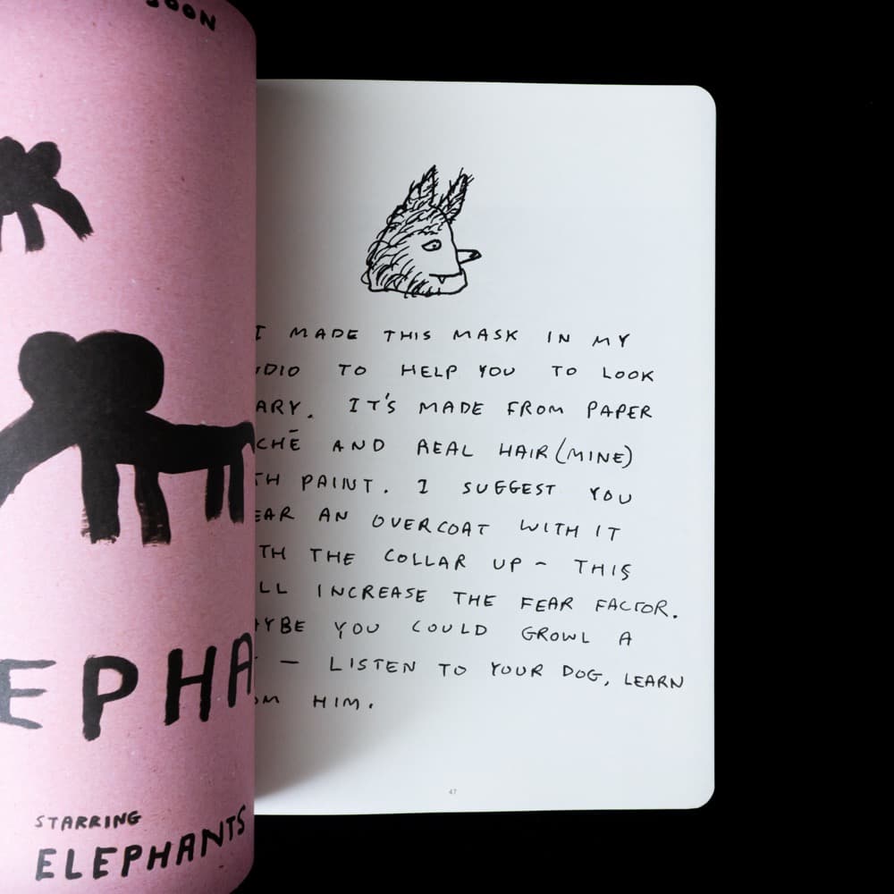 デイヴィッド・シュリグリー, The Book of Shrigley 画集.