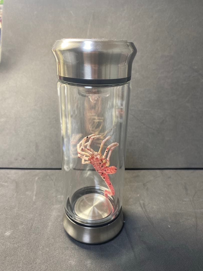 ALIEN エイリアン　フェイスハガー フィギュア　標本　 培養器　ガラス製