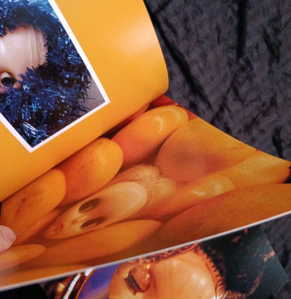 洋書ブライス人形写真集 this is Blythe by Gina Garan