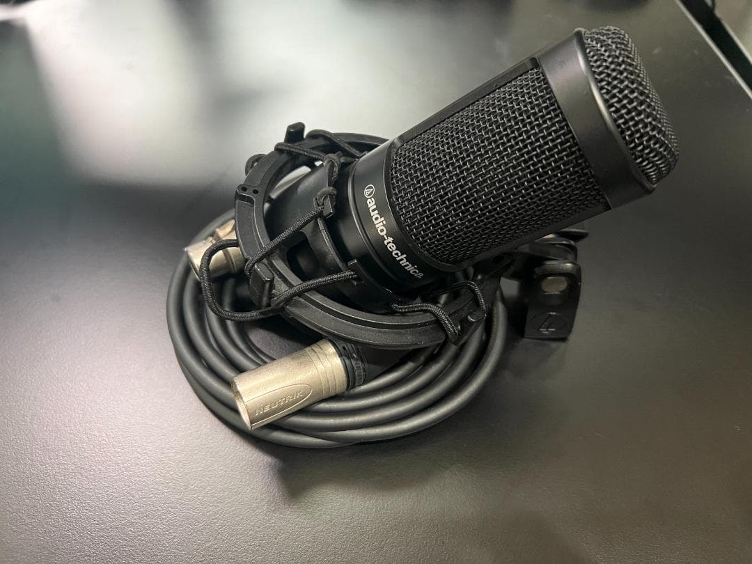 audio technica / AT2050 コンデンサーマイク