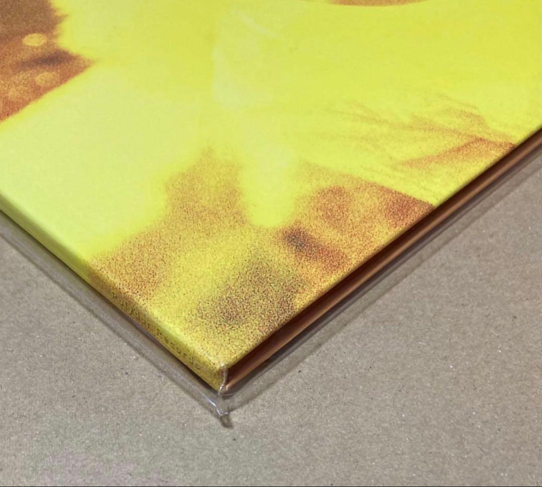 空の飛び方 30th Anniversary Edition スピッツ レコード