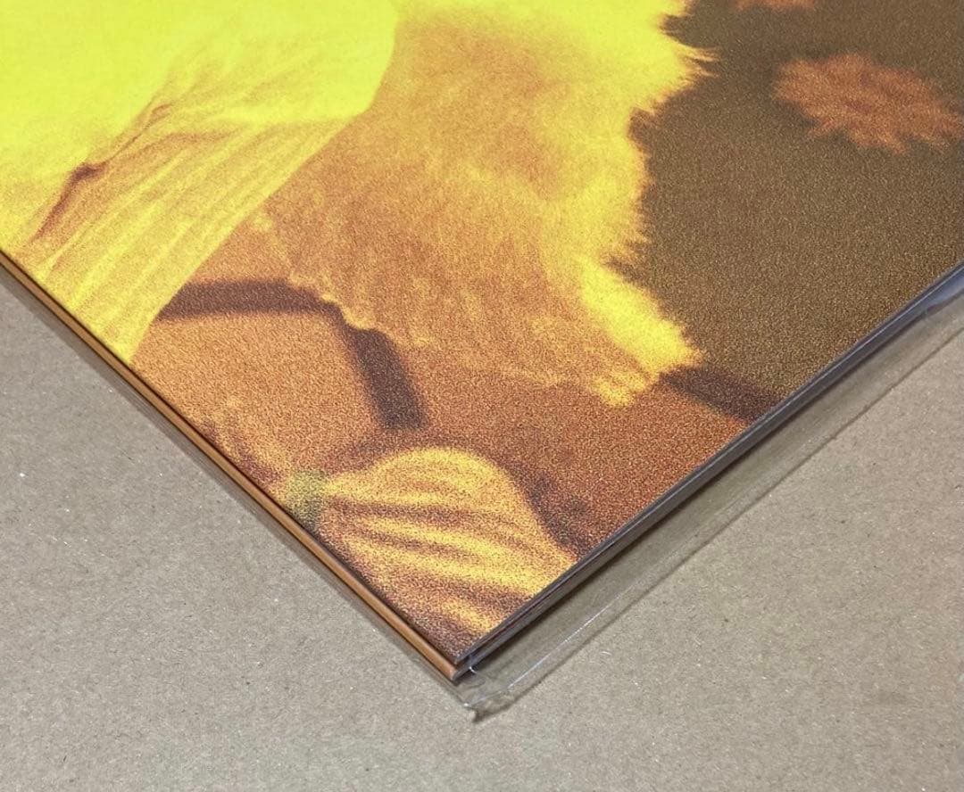 空の飛び方 30th Anniversary Edition スピッツ レコード