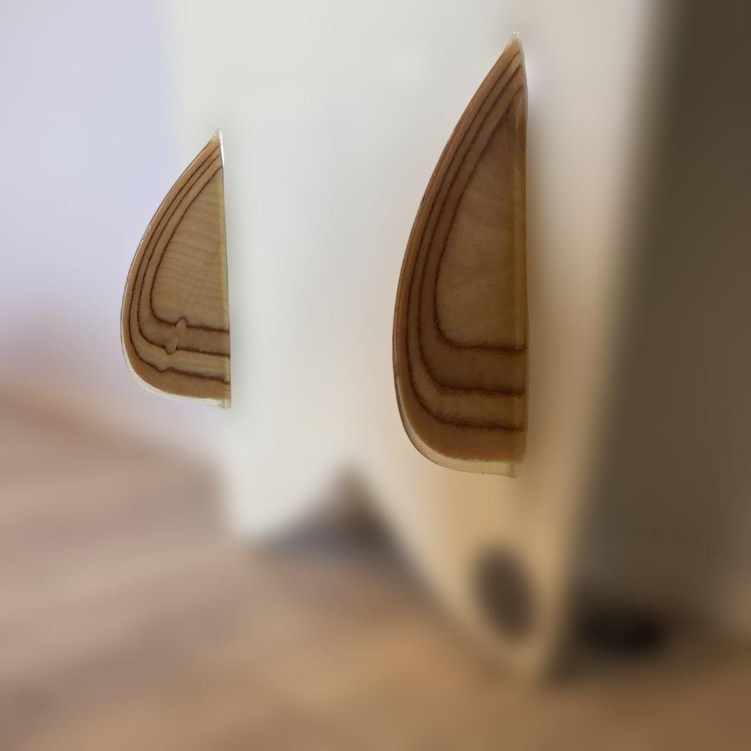 Life wisdom mojosurfboard フィッシュ4'6