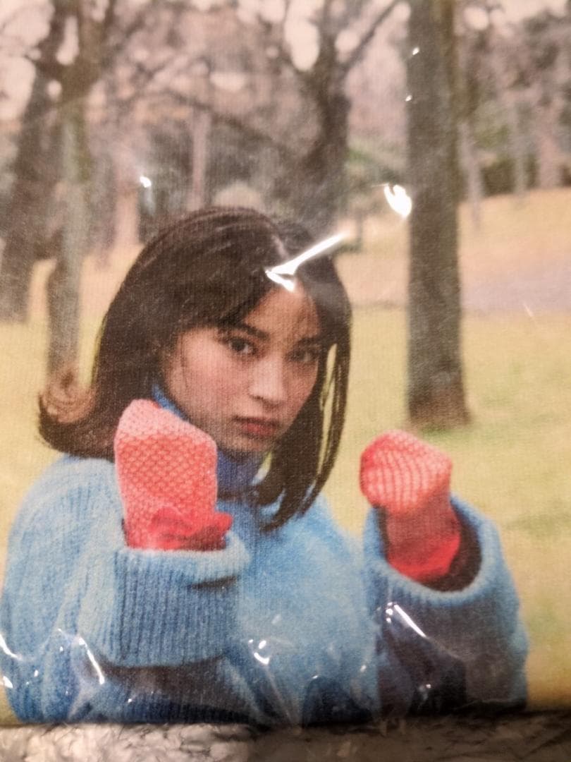広瀬すず 広瀬アリス 広瀬姉妹展 フォトプリント Tシャツ XL　写真展