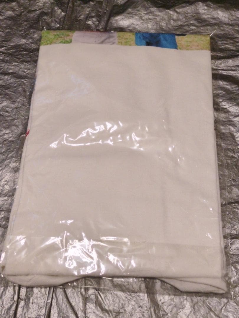 広瀬すず 広瀬アリス 広瀬姉妹展 フォトプリント Tシャツ XL　写真展