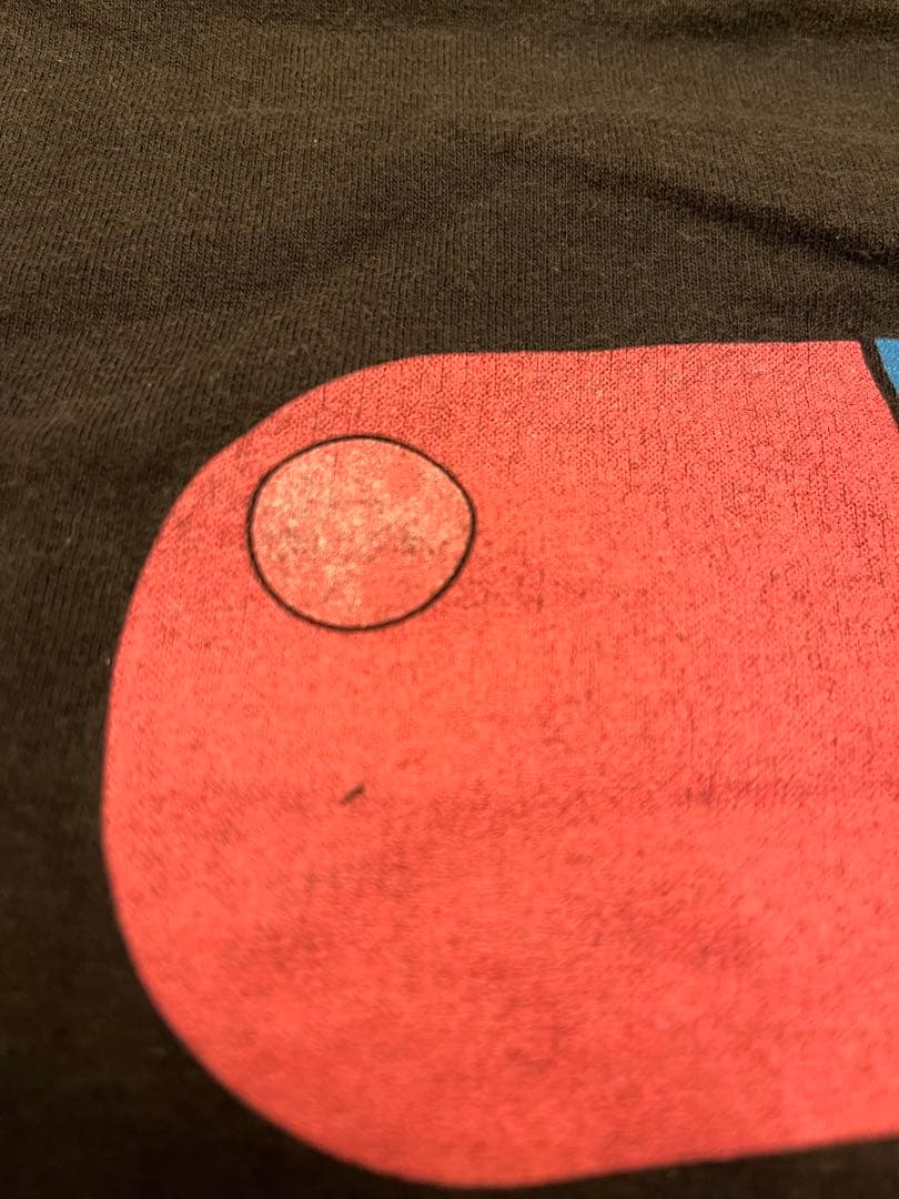 AKIRA Tシャツ フルーツオブザルーム