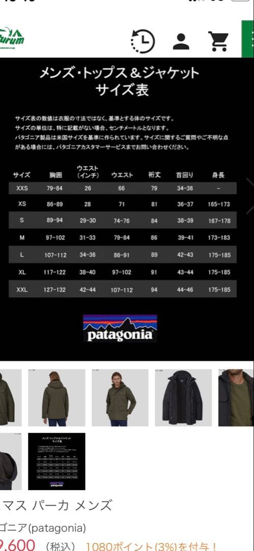 patagonia パタゴニア　イスマスパーカー　Ｌ