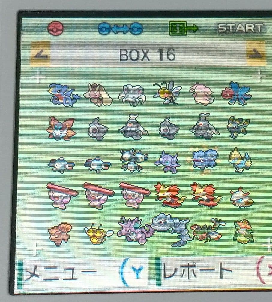 ポケットモンスター アルファサファイア 北米版 ポケモン ORAS ソフトのみ