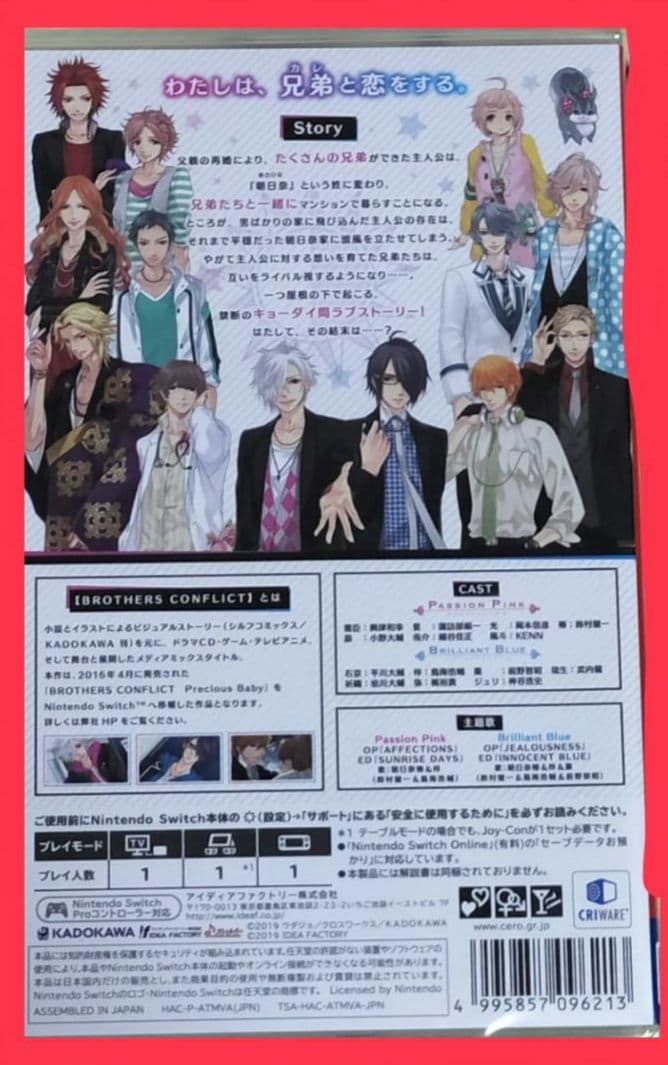 BROTHERS CONFLICT Switch 通常版